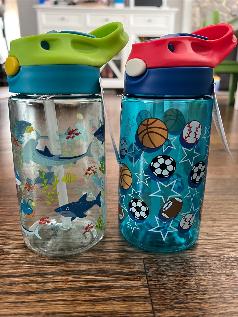 Splash Kids Spill-Proof Water Bottle with Blue, Teal & Red Accents